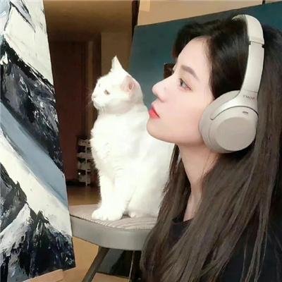 蓝蝶之谜
